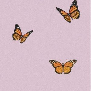 Meet your Posher, ✨nevaeh